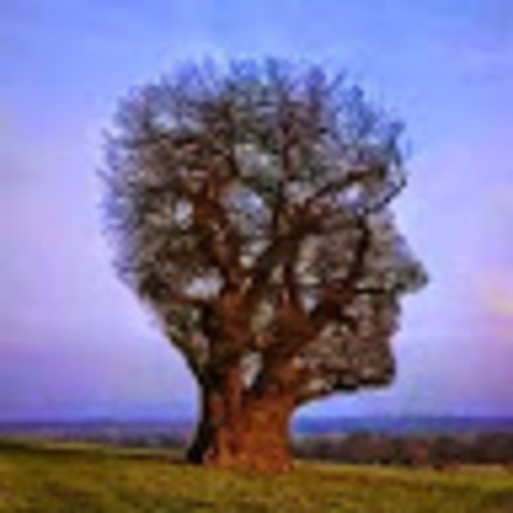 Meet your Posher, Daniel - Picture 1 of 1